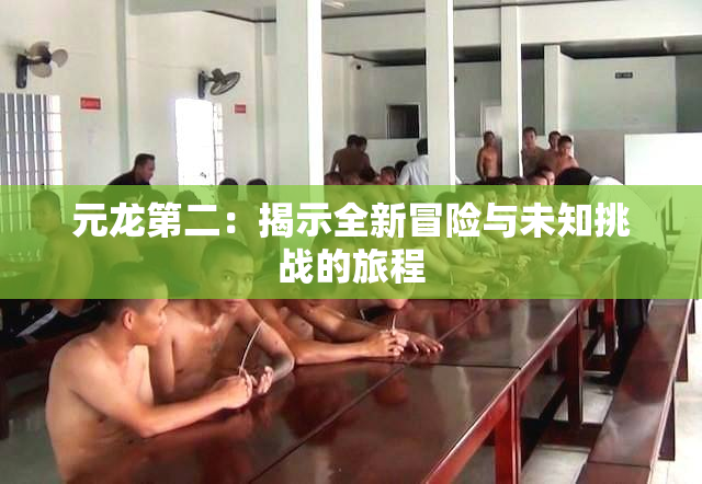元龙第二：揭示全新冒险与未知挑战的旅程