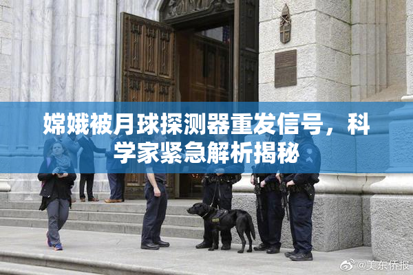 嫦娥被月球探测器重发信号，科学家紧急解析揭秘
