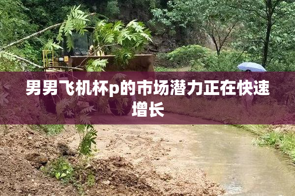 男男飞机杯p的市场潜力正在快速增长