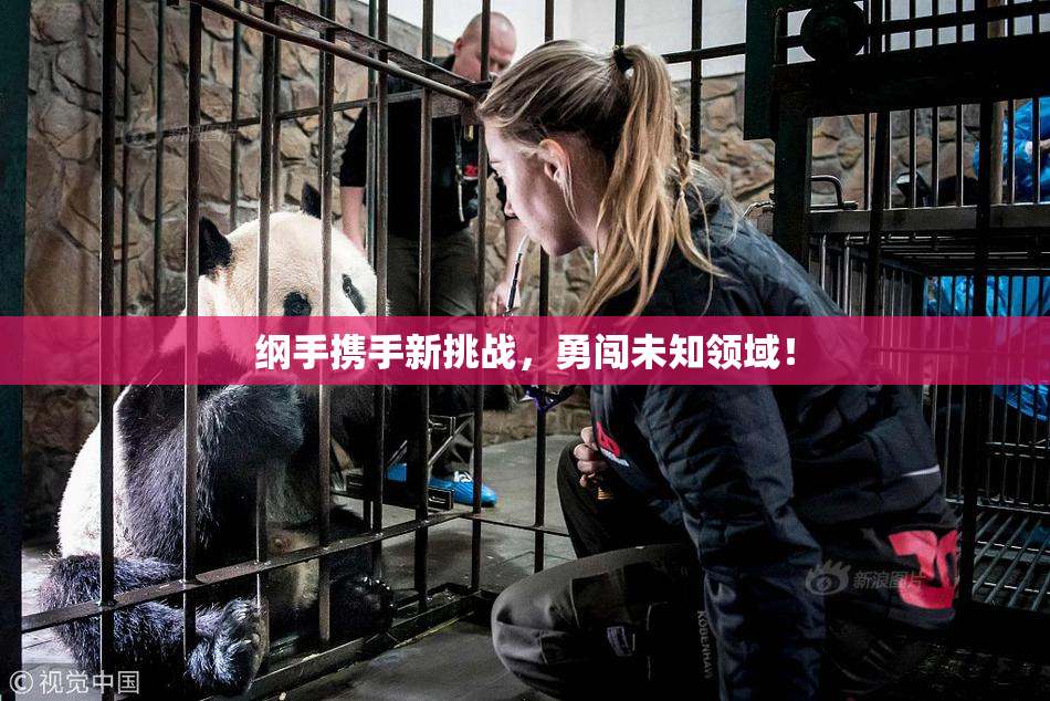 纲手携手新挑战，勇闯未知领域！