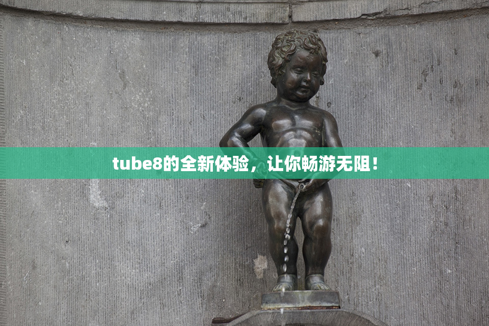 tube8的全新体验，让你畅游无阻！