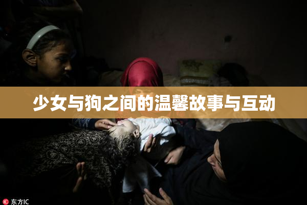 少女与狗之间的温馨故事与互动