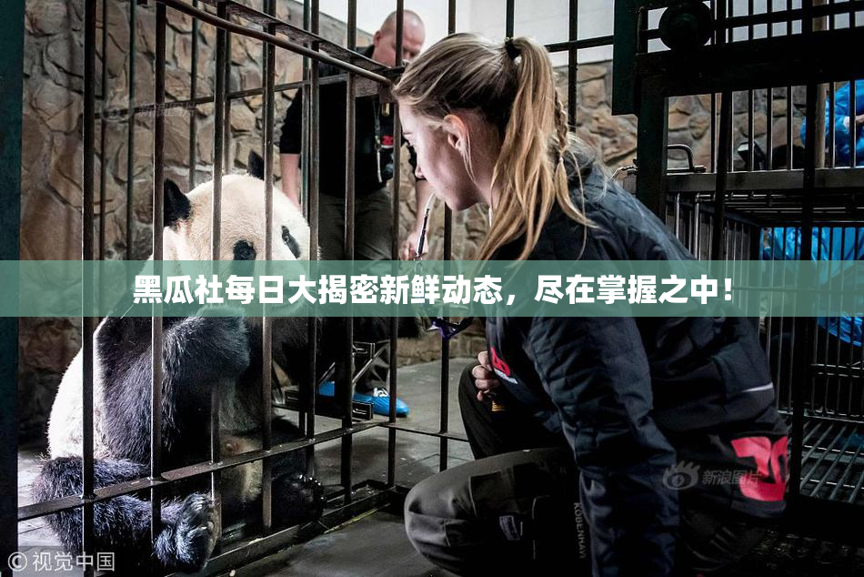 黑瓜社每日大揭密新鲜动态，尽在掌握之中！