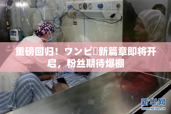 重磅回归！ワンピー新篇章即将开启，粉丝期待爆棚