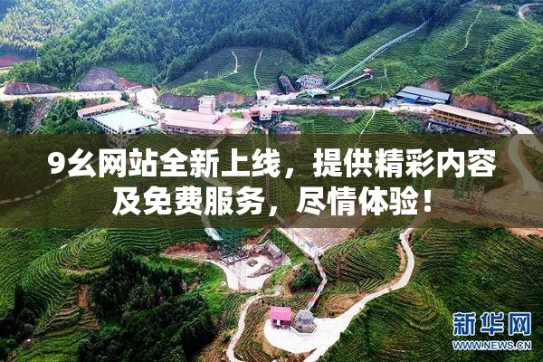 9幺网站全新上线，提供精彩内容及免费服务，尽情体验！