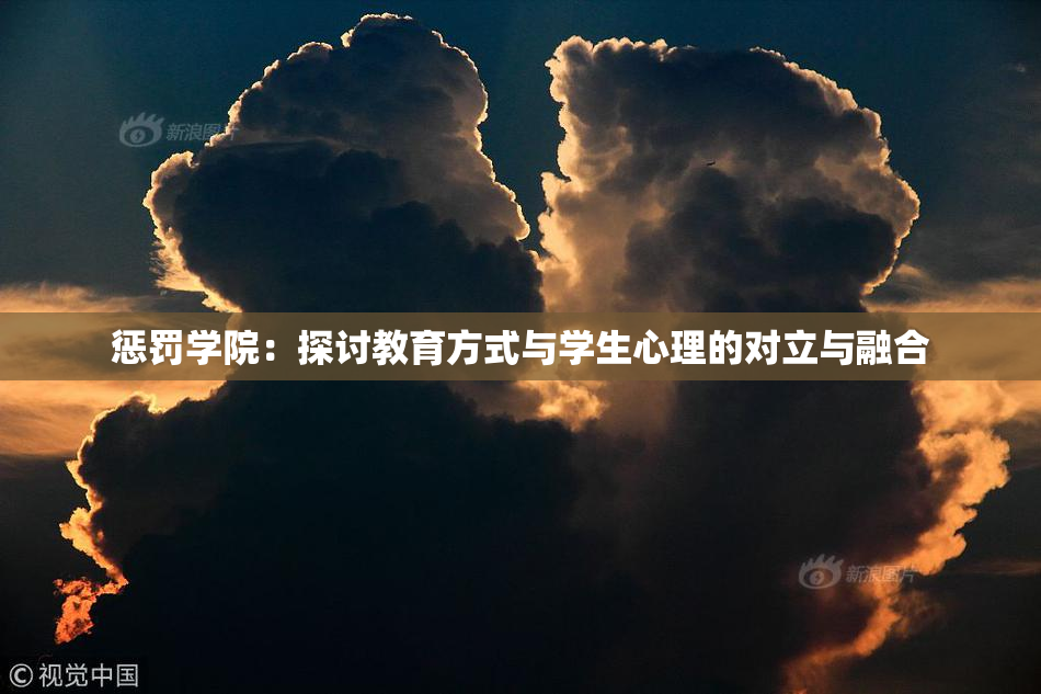惩罚学院：探讨教育方式与学生心理的对立与融合