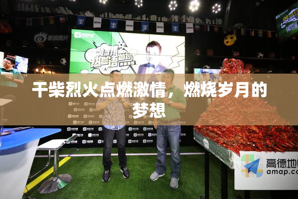 干柴烈火点燃激情，燃烧岁月的梦想