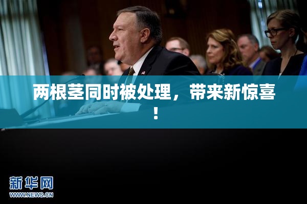 两根茎同时被处理，带来新惊喜！