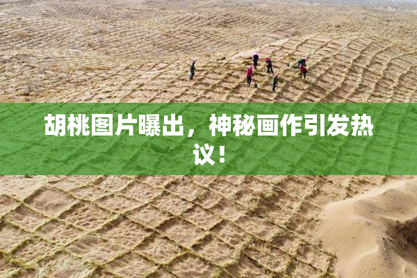 胡桃图片曝出，神秘画作引发热议！