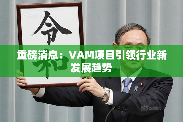 重磅消息：VAM项目引领行业新发展趋势