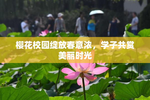 樱花校园绽放春意浓，学子共赏美丽时光