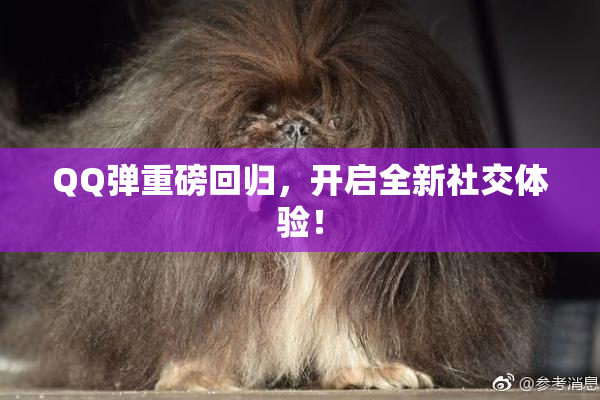 QQ弹重磅回归，开启全新社交体验！