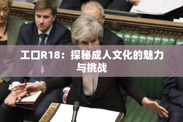 工口R18：探秘成人文化的魅力与挑战
