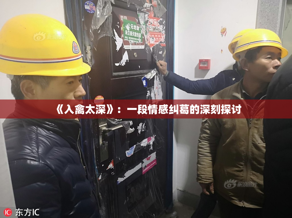 《入禽太深》：一段情感纠葛的深刻探讨