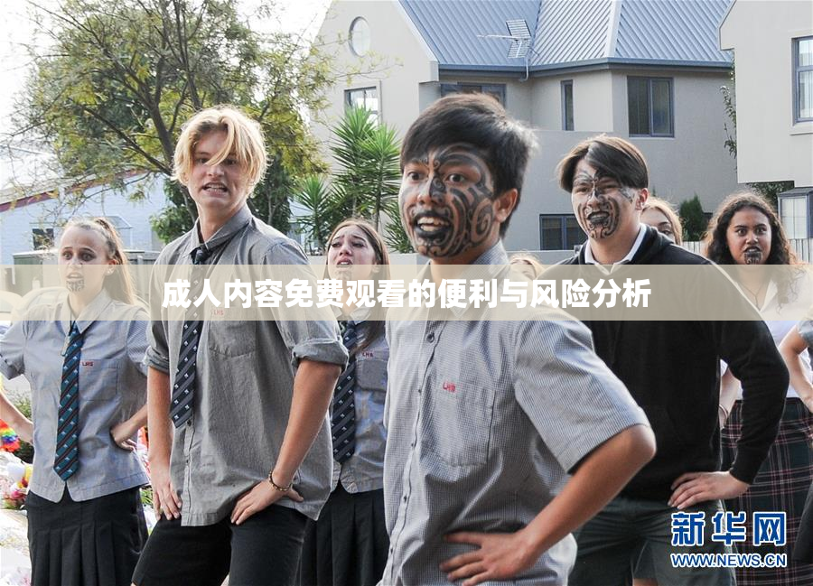 成人内容免费观看的便利与风险分析