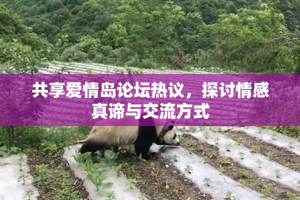 共享爱情岛论坛热议，探讨情感真谛与交流方式