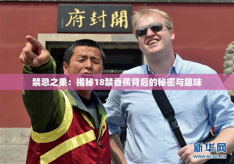 禁忌之果：揭秘18禁香蕉背后的秘密与趣味