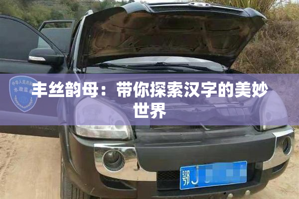 丰丝韵母：带你探索汉字的美妙世界