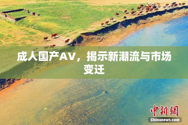 成人国产AV，揭示新潮流与市场变迁