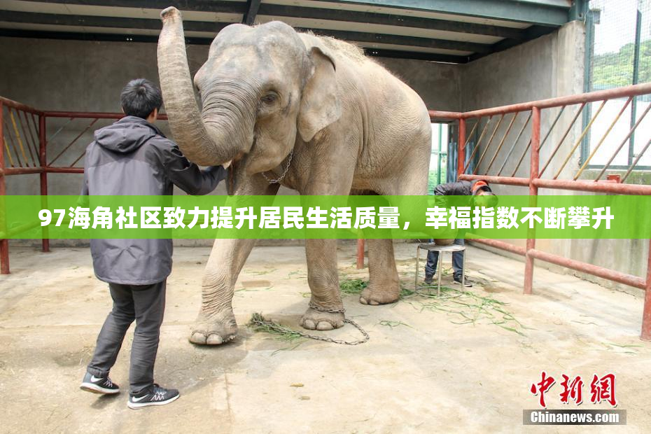 97海角社区致力提升居民生活质量，幸福指数不断攀升