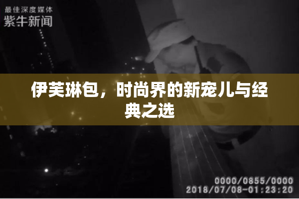 伊芙琳包，时尚界的新宠儿与经典之选