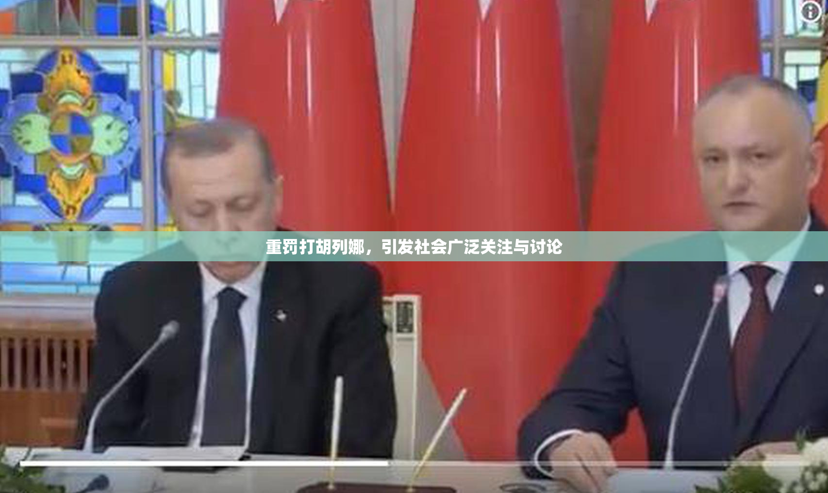 重罚打胡列娜，引发社会广泛关注与讨论