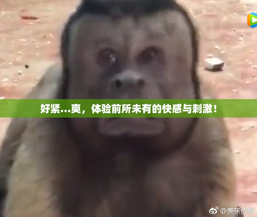 好紧…爽，体验前所未有的快感与刺激！
