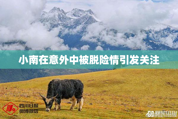 小南在意外中被脱险情引发关注