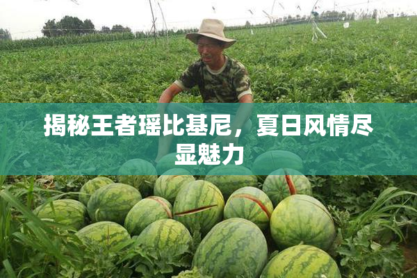 揭秘王者瑶比基尼，夏日风情尽显魅力