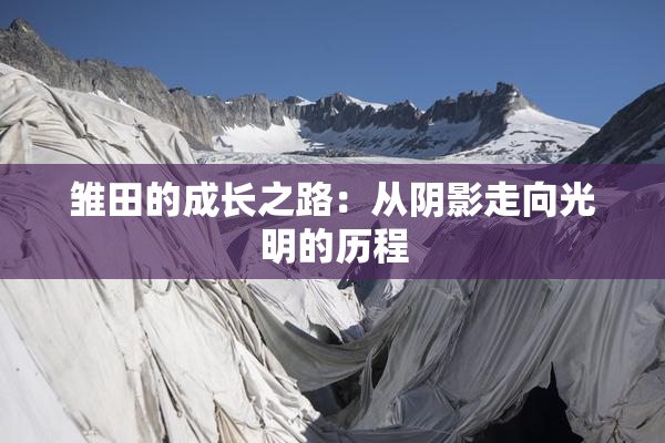 雏田的成长之路：从阴影走向光明的历程