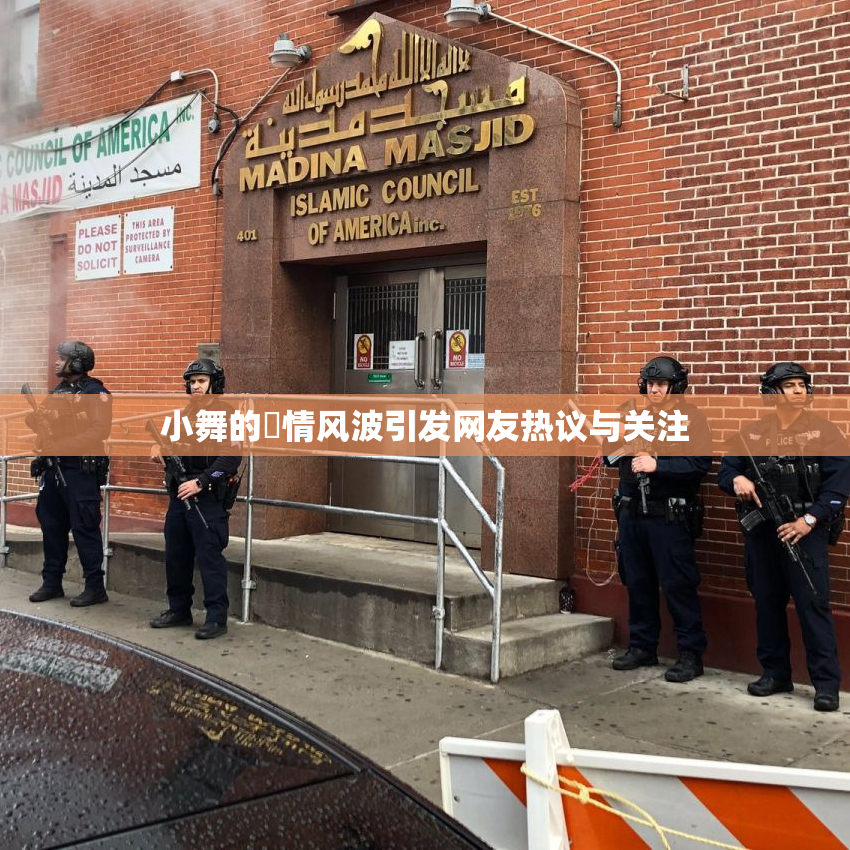 小舞的婬情风波引发网友热议与关注