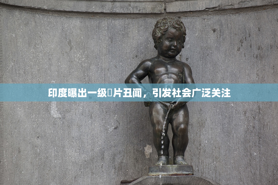 印度曝出一级婬片丑闻，引发社会广泛关注
