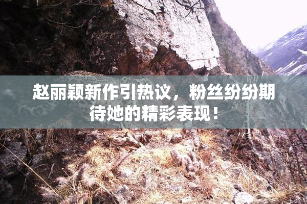 赵丽颖新作引热议，粉丝纷纷期待她的精彩表现！