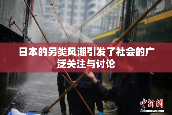 日本的另类风潮引发了社会的广泛关注与讨论