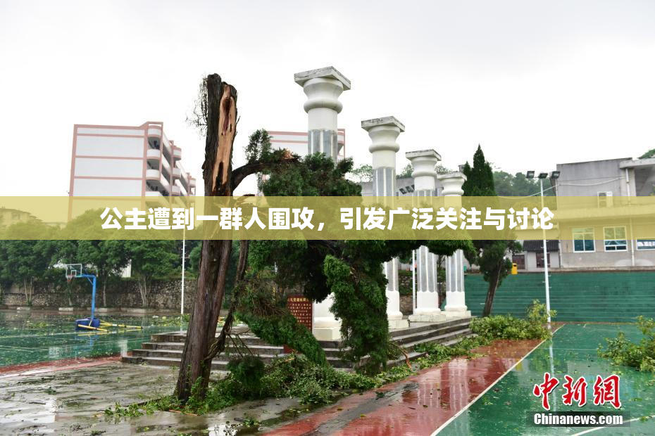 公主遭到一群人围攻，引发广泛关注与讨论