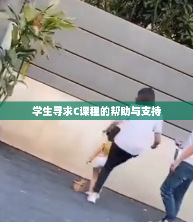 学生寻求C课程的帮助与支持