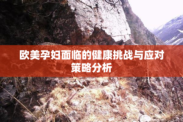 欧美孕妇面临的健康挑战与应对策略分析