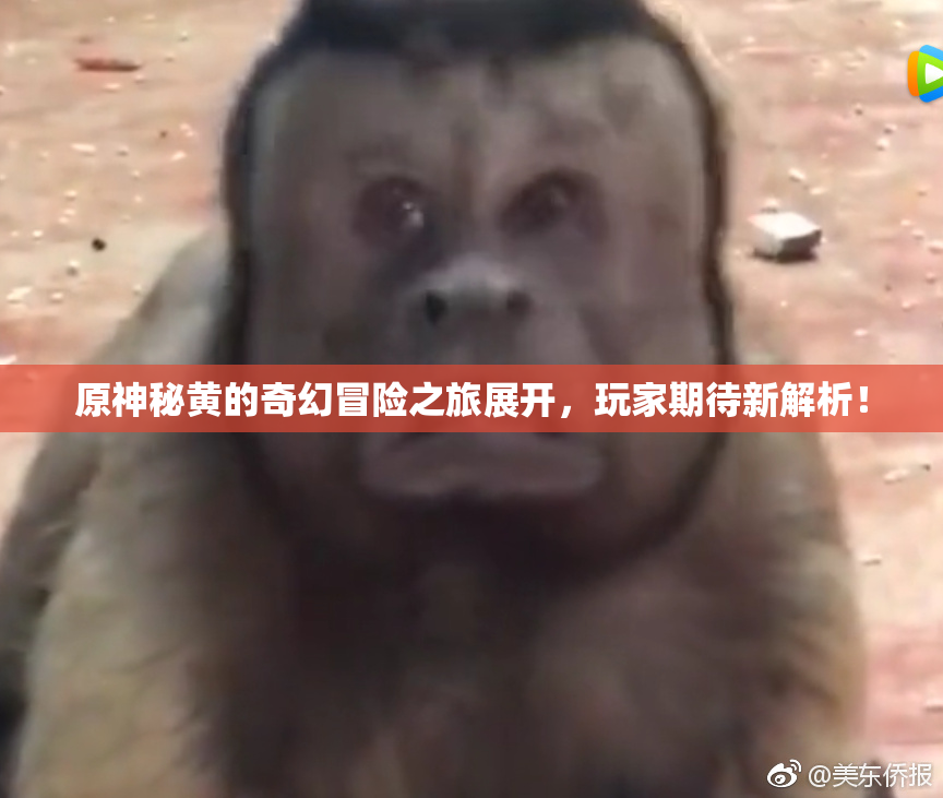 原神秘黄的奇幻冒险之旅展开，玩家期待新解析！