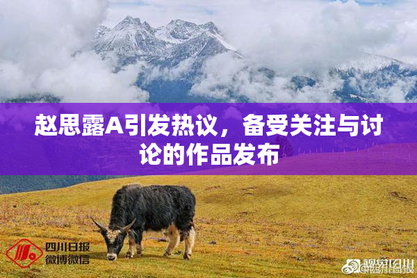 赵思露A引发热议，备受关注与讨论的作品发布