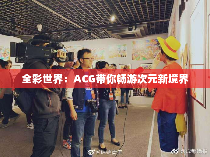 全彩世界：ACG带你畅游次元新境界