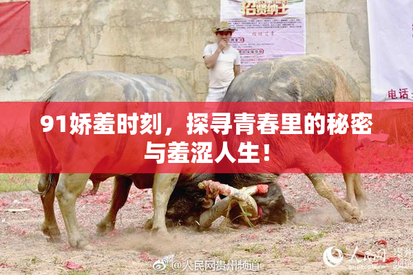 91娇羞时刻，探寻青春里的秘密与羞涩人生！