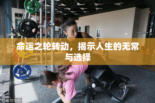 命运之轮转动，揭示人生的无常与选择