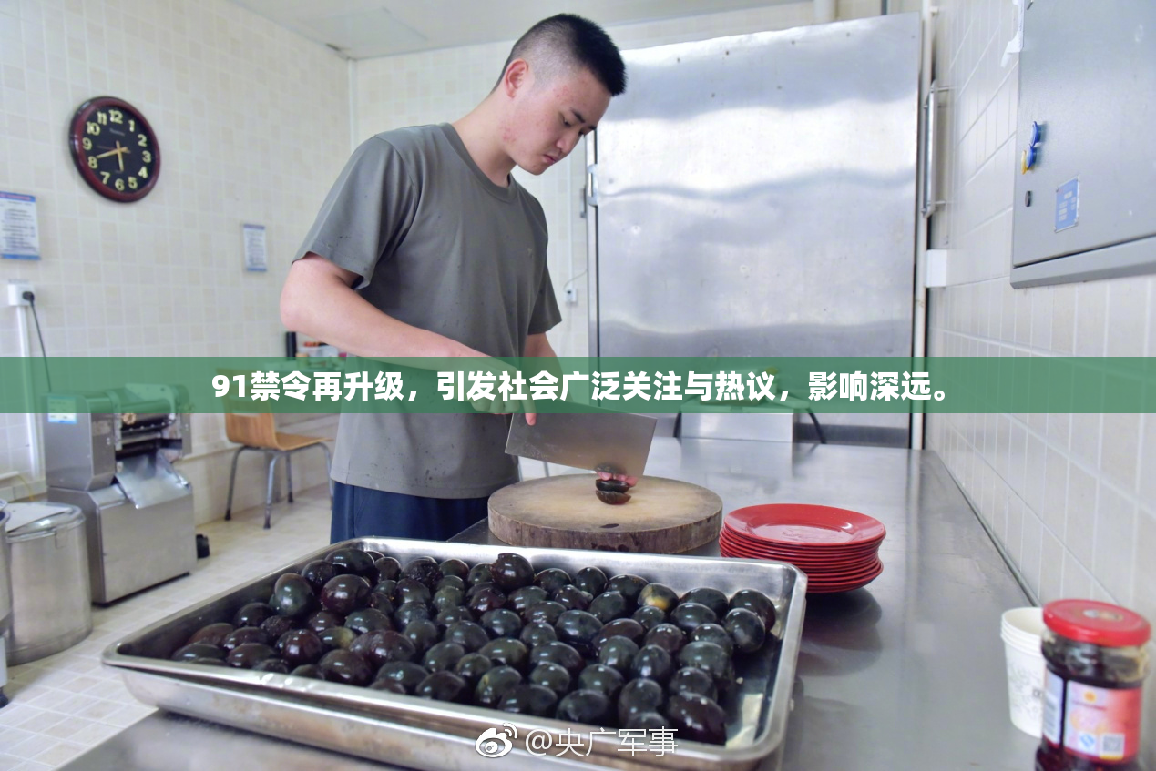 91禁令再升级，引发社会广泛关注与热议，影响深远。
