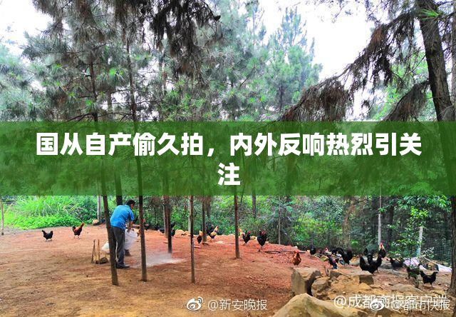 国从自产偷久拍，内外反响热烈引关注
