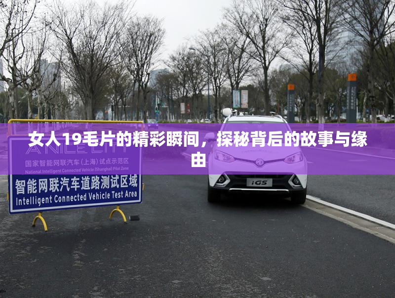 女人19毛片的精彩瞬间，探秘背后的故事与缘由