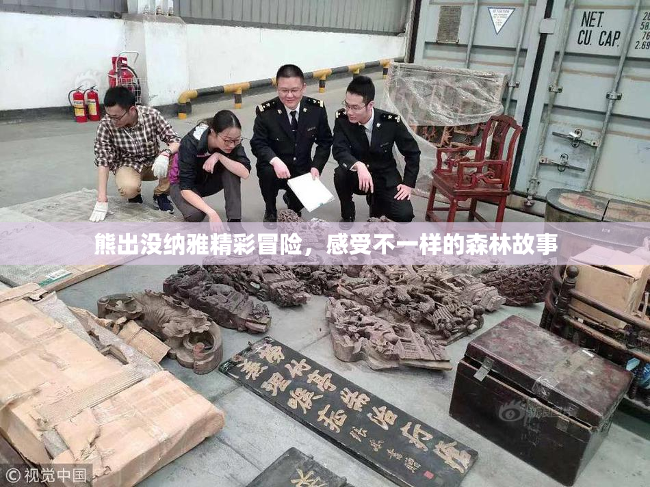 熊出没纳雅精彩冒险，感受不一样的森林故事