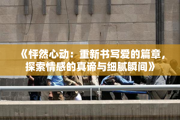 《怦然心动：重新书写爱的篇章，探索情感的真谛与细腻瞬间》