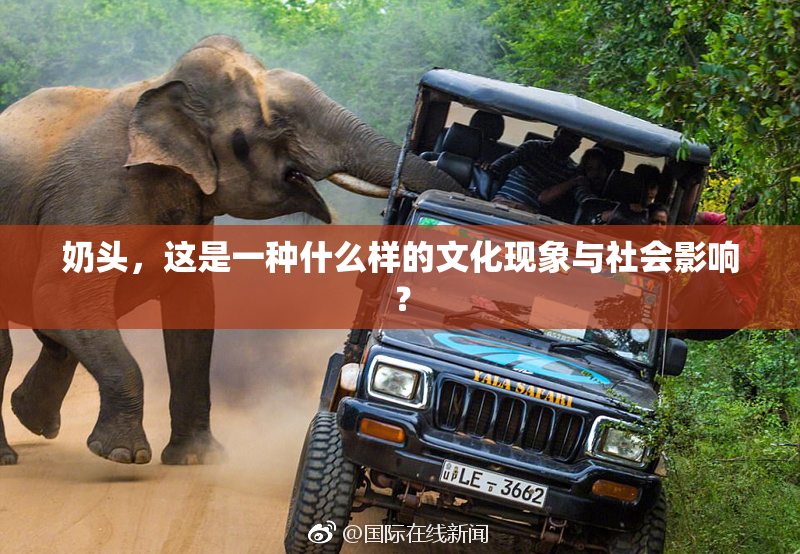 奶头，这是一种什么样的文化现象与社会影响？