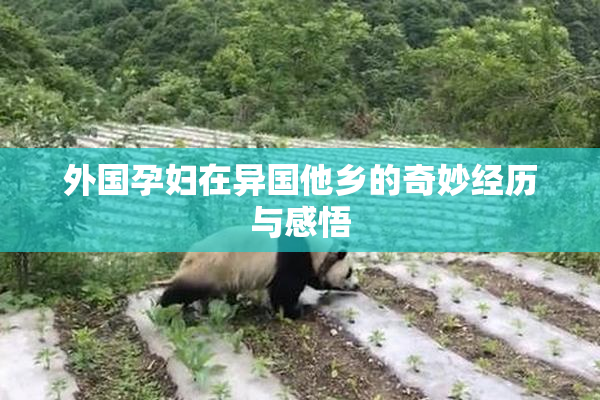 外国孕妇在异国他乡的奇妙经历与感悟