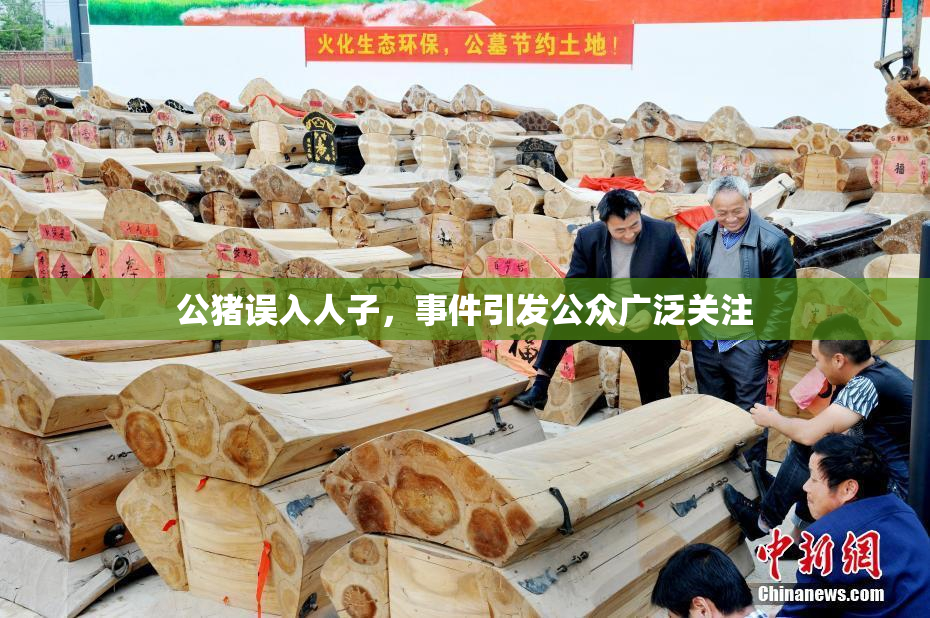 公猪误入人子，事件引发公众广泛关注